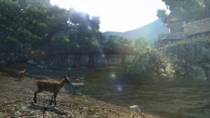 DragonsDogmaOnline-11