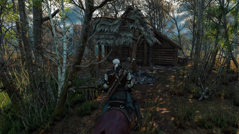 The_Witcher_3_Wild_Hunt_Old,_abandoned_and_probably_dangerous
