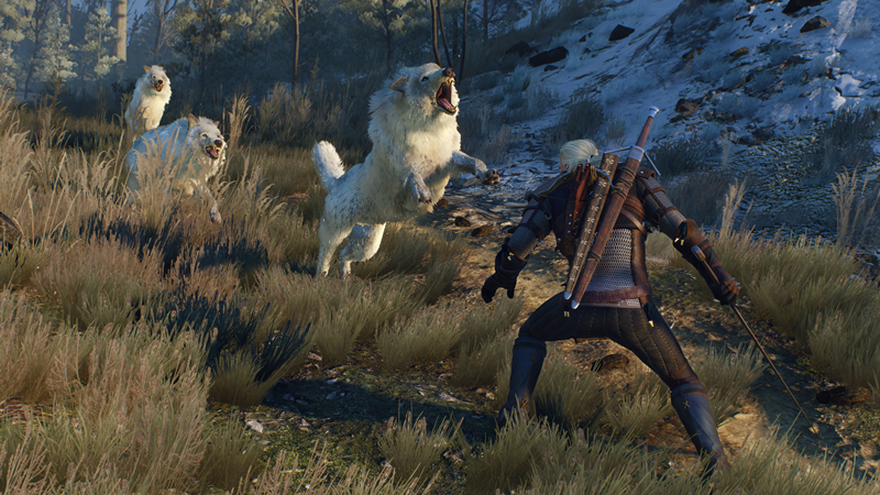 The_Witcher_3_Wild_Hunt_These_animals_can_rip_you_apart_in_seconds_if_you're_not_careful