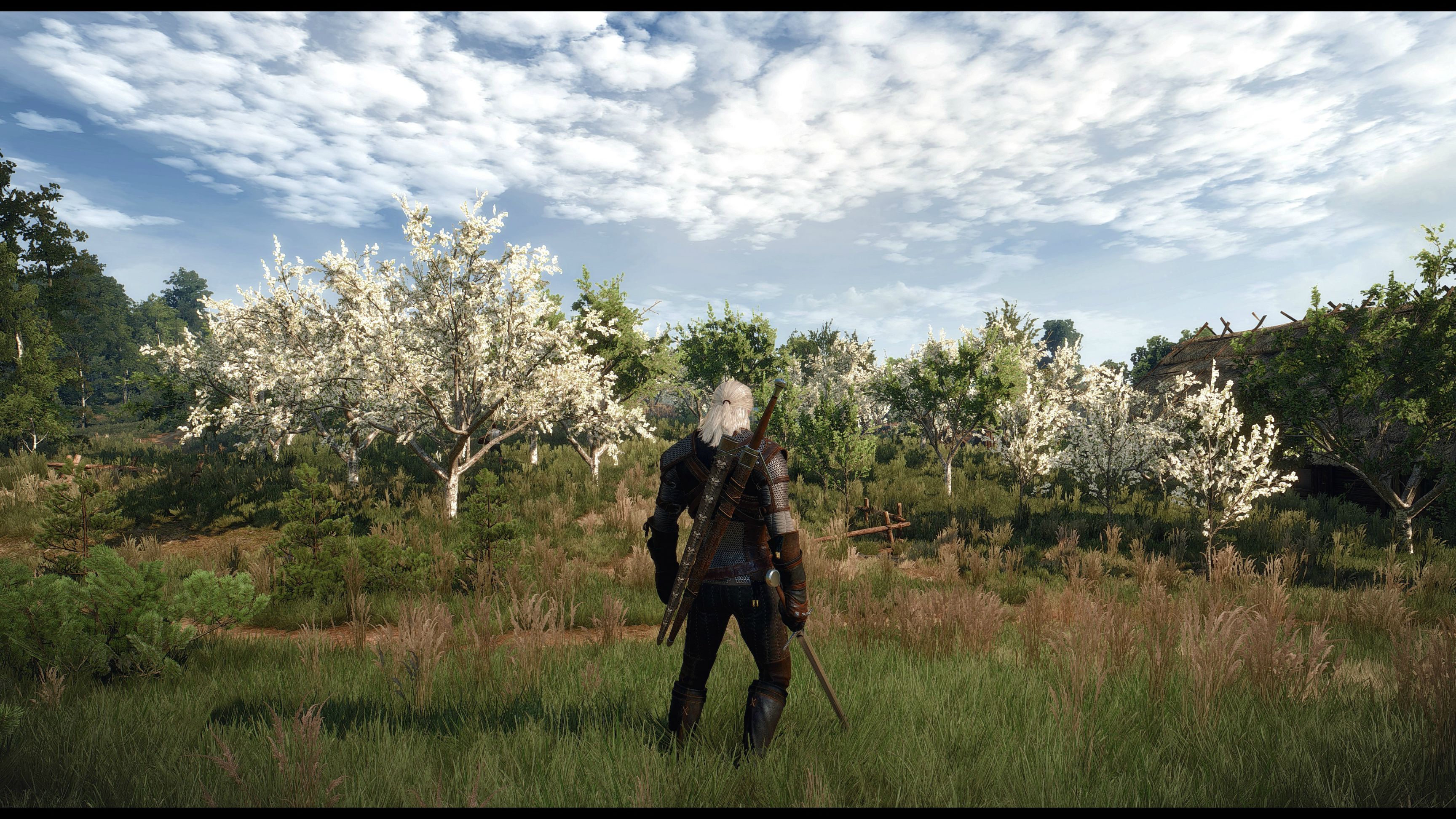 Witcher-3-116
