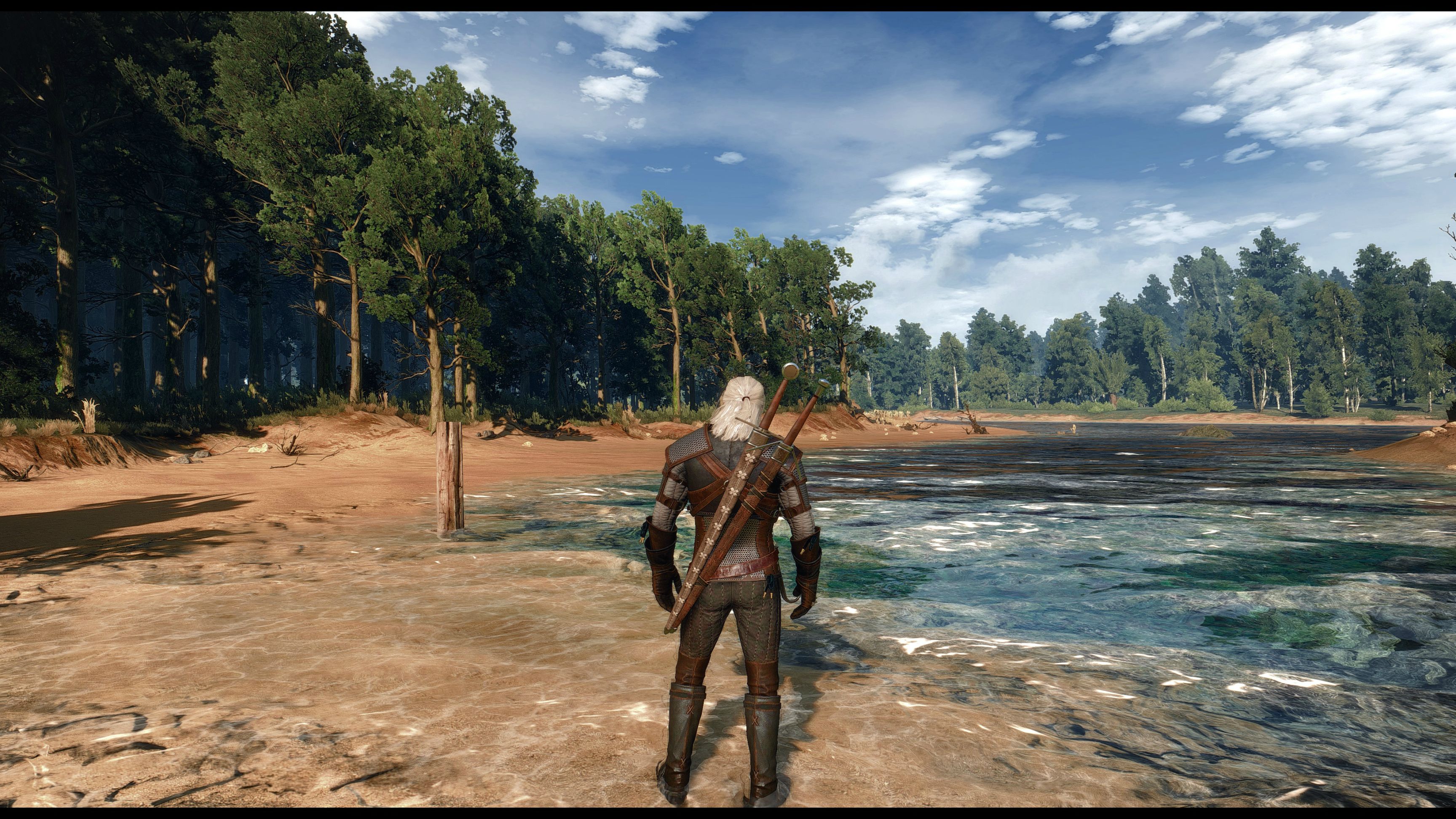 Witcher-3-94