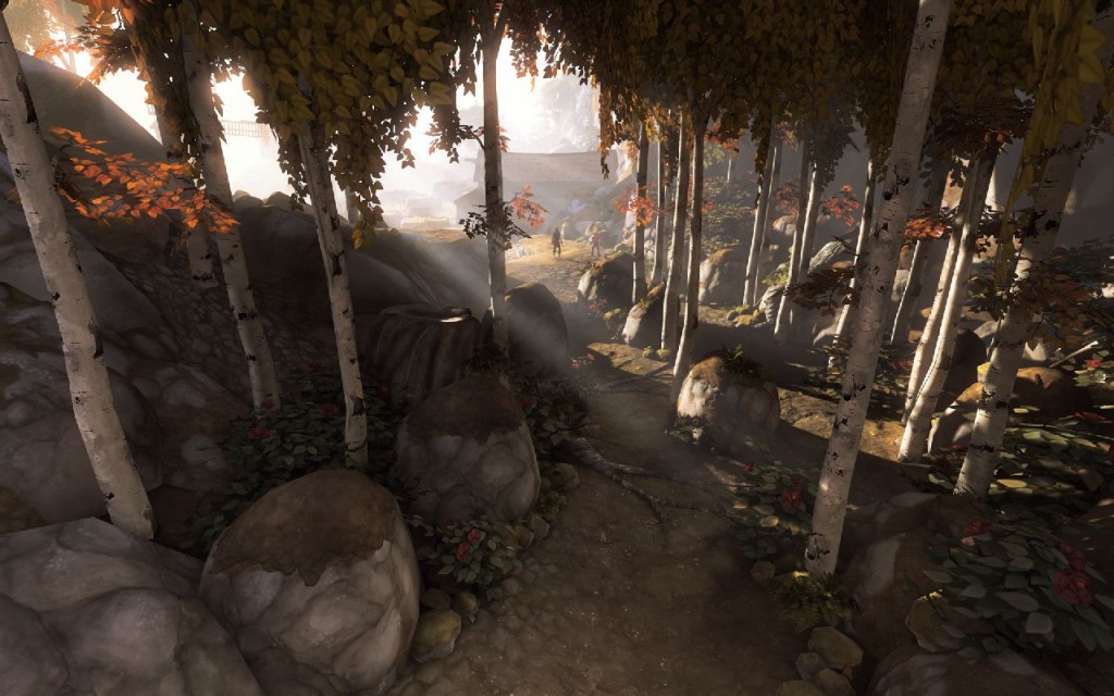 brothers-a-tale-of-two-sons-06