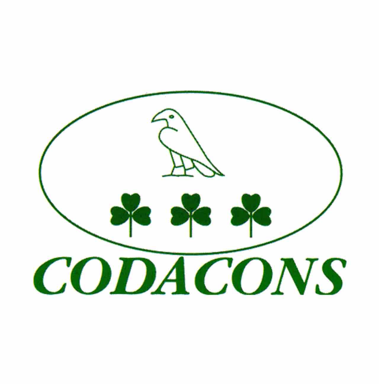 Codacons chiede rimborso per WhatsApp Down