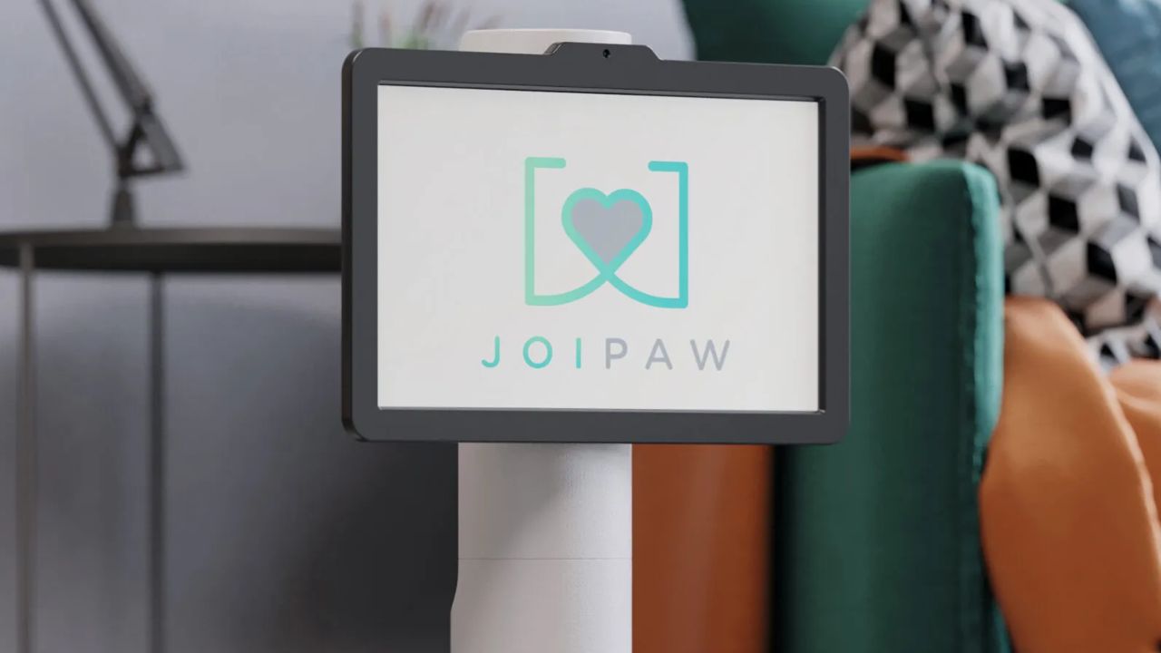 In arrivo Joipaw, prima console pensata per cani, costo e dettagli