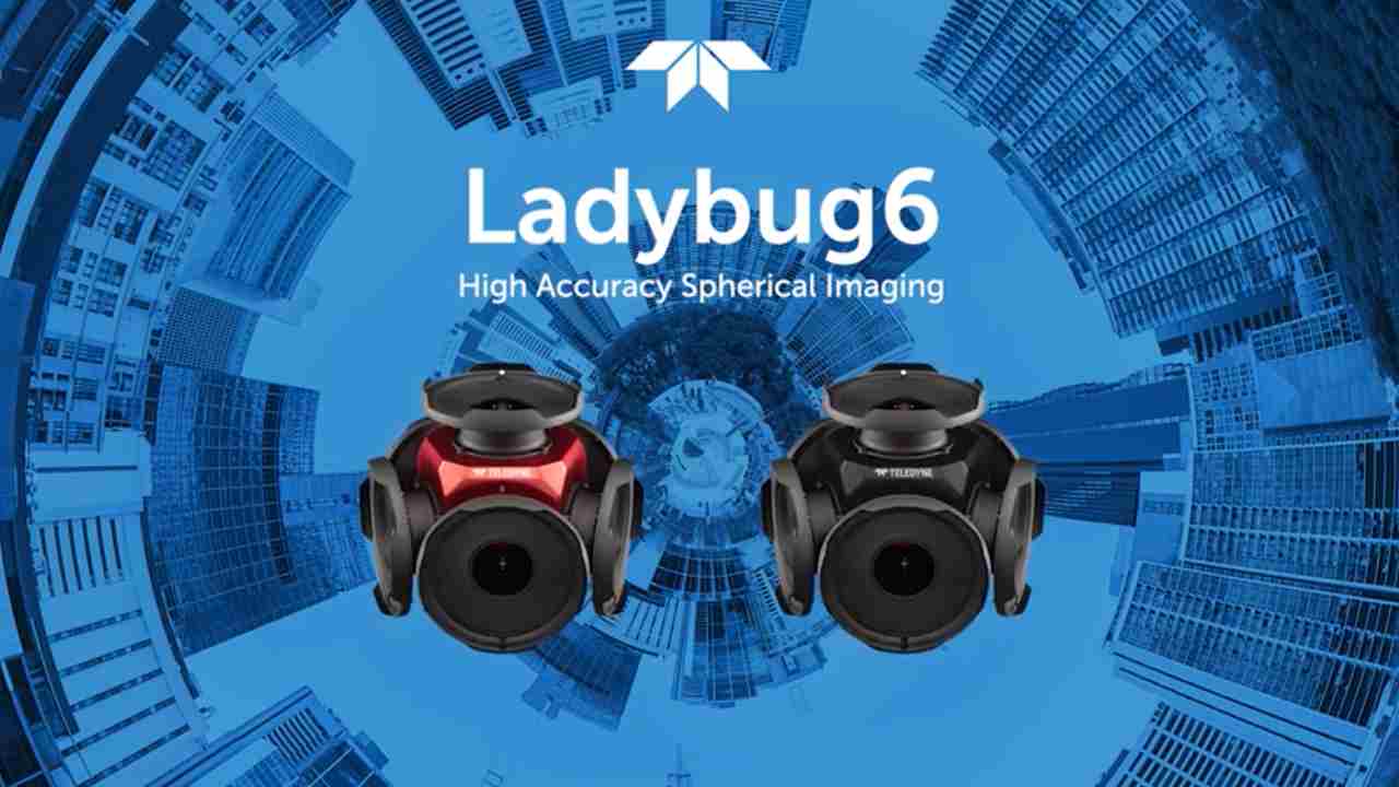Ladybug6 VideoGiochi.com 4 Novembre 2022