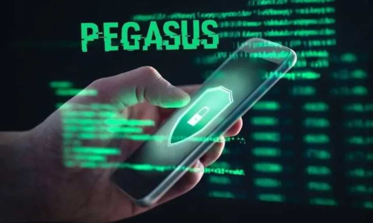 Pegasus, 14/11/2022 - Videogiochi.com