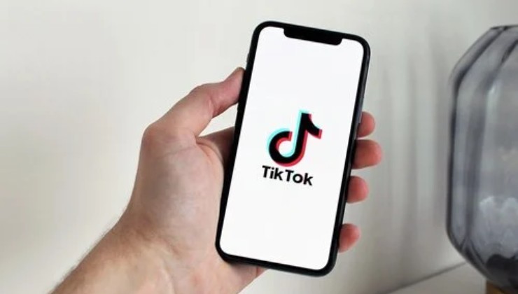 TikTok denuncia in corso