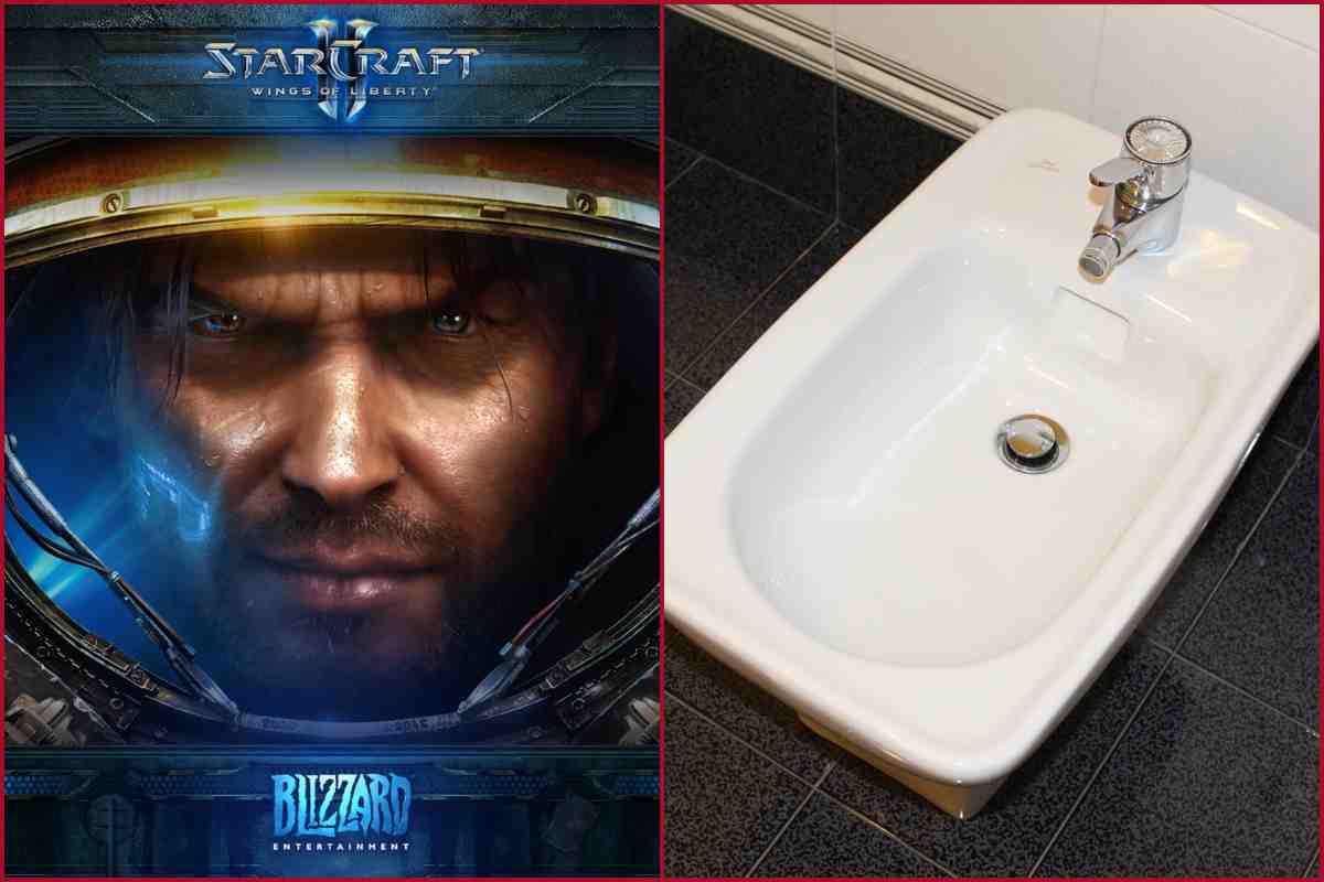 Starcraft 2 bidet