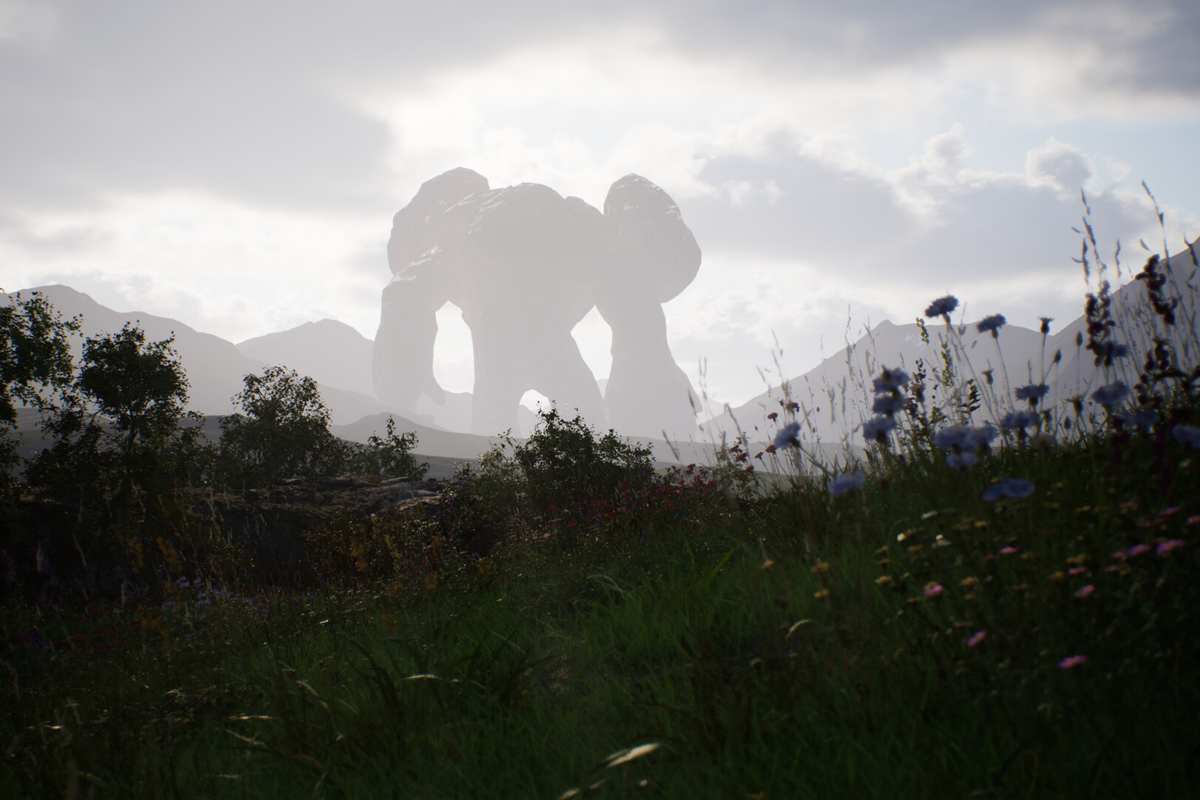 ambiente naturale con sasso