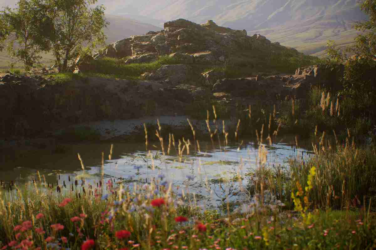 primavera con laghetto