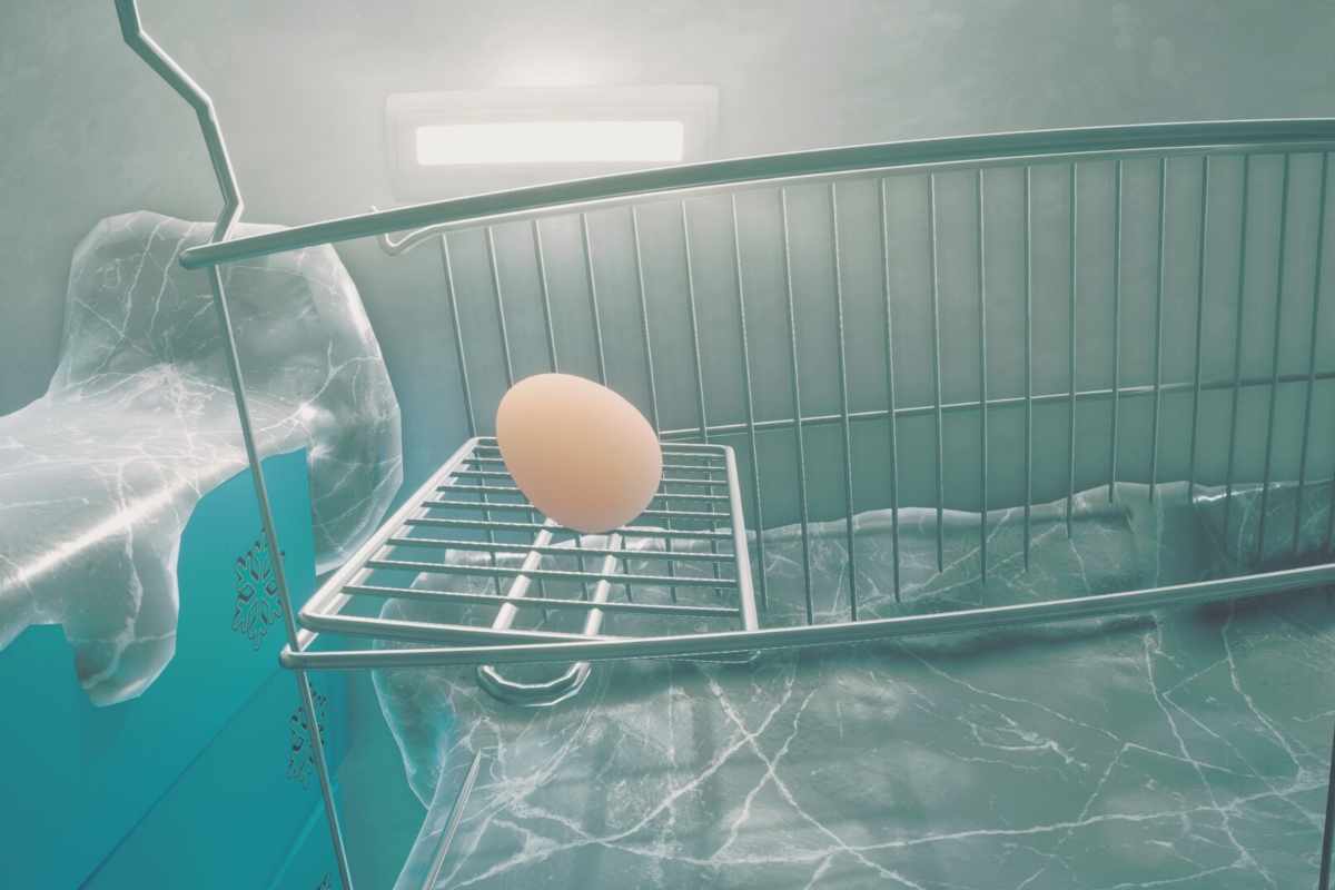 uovo dentro un frigo