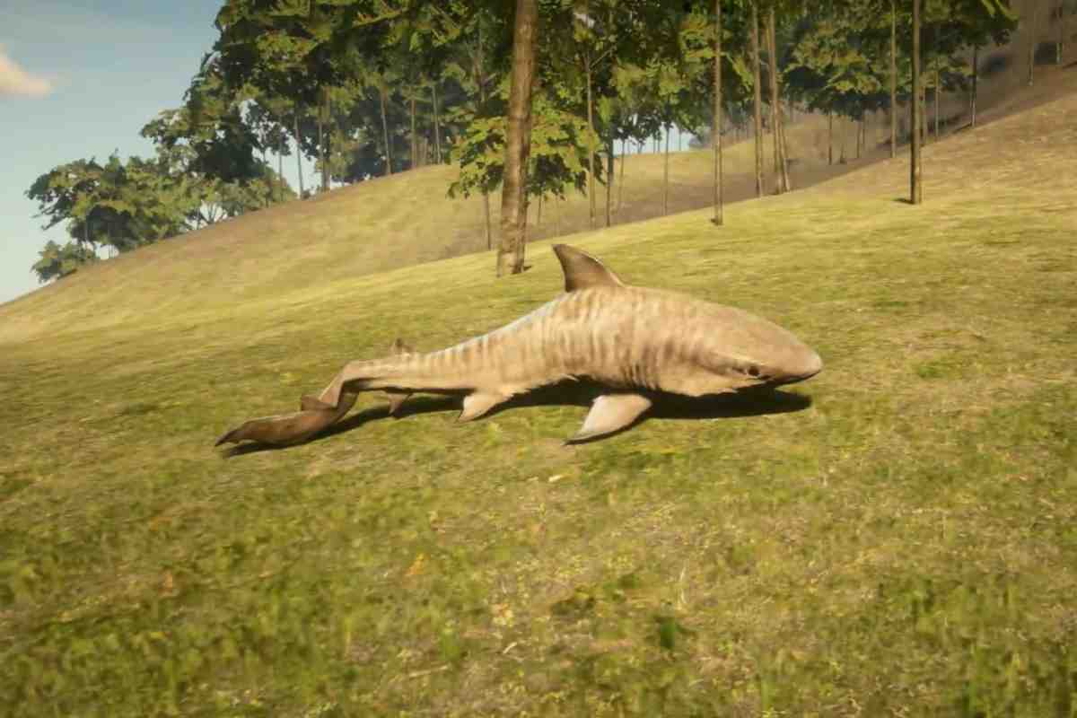 squalo dentro rdr 2